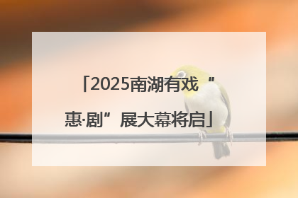 2025南湖有戏“惠·剧”展大幕将启
